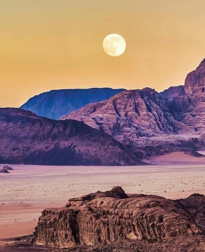 Wadi Rum Bedouin House Extérieur photo