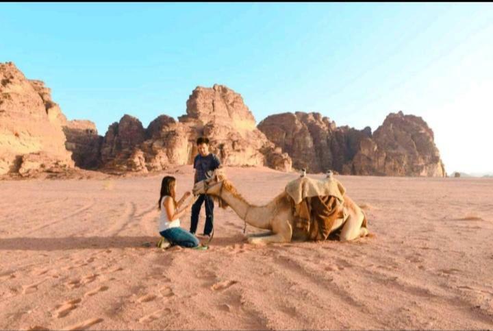 Wadi Rum Bedouin House Extérieur photo